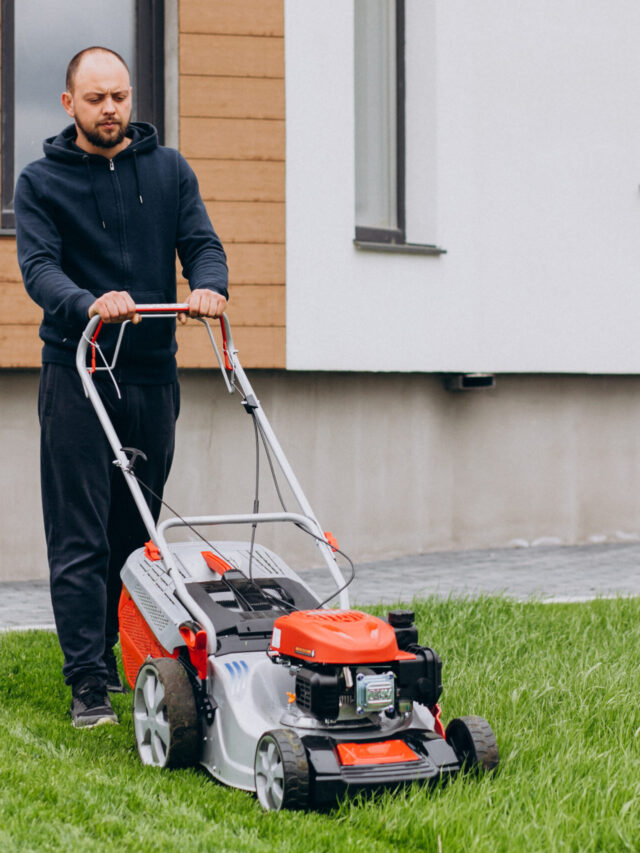 Renove seu jardim: 4 opções de cortadores de grama